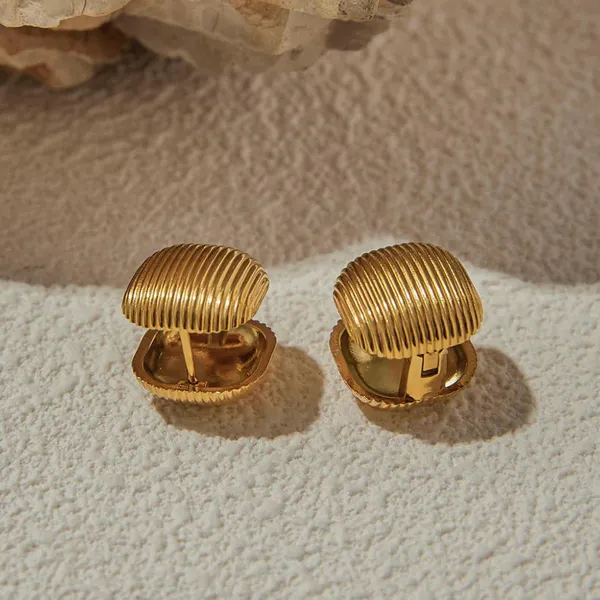 Golden_Stainless_Steel_And_Hypoallergenic_Coating_Earrings_For_Women